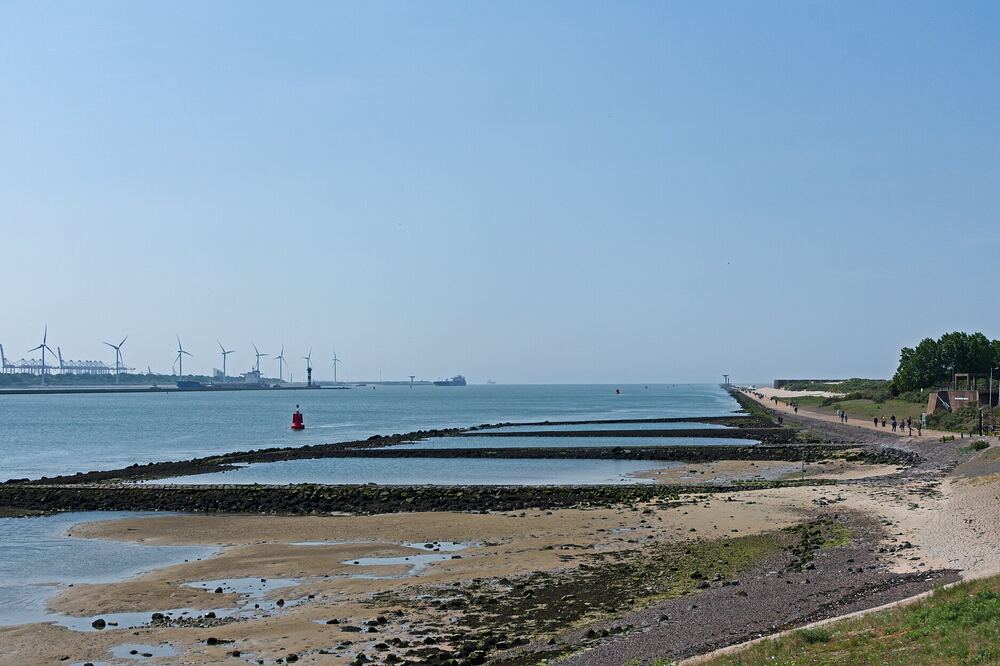 Uitzicht over de monding van de Nieuwe Waterweg met strandhoofden bij laag water, wandelaars op de dam en havenkranen en windmolens aan de overkant
